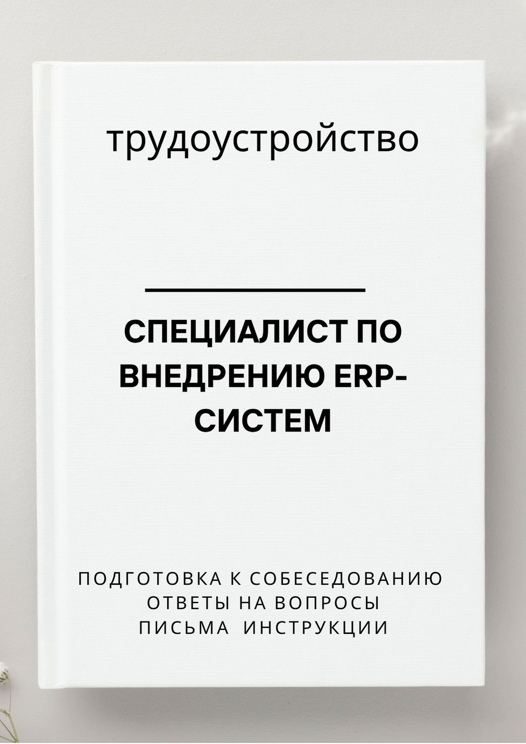 Специалист по внедрению ERP-систем