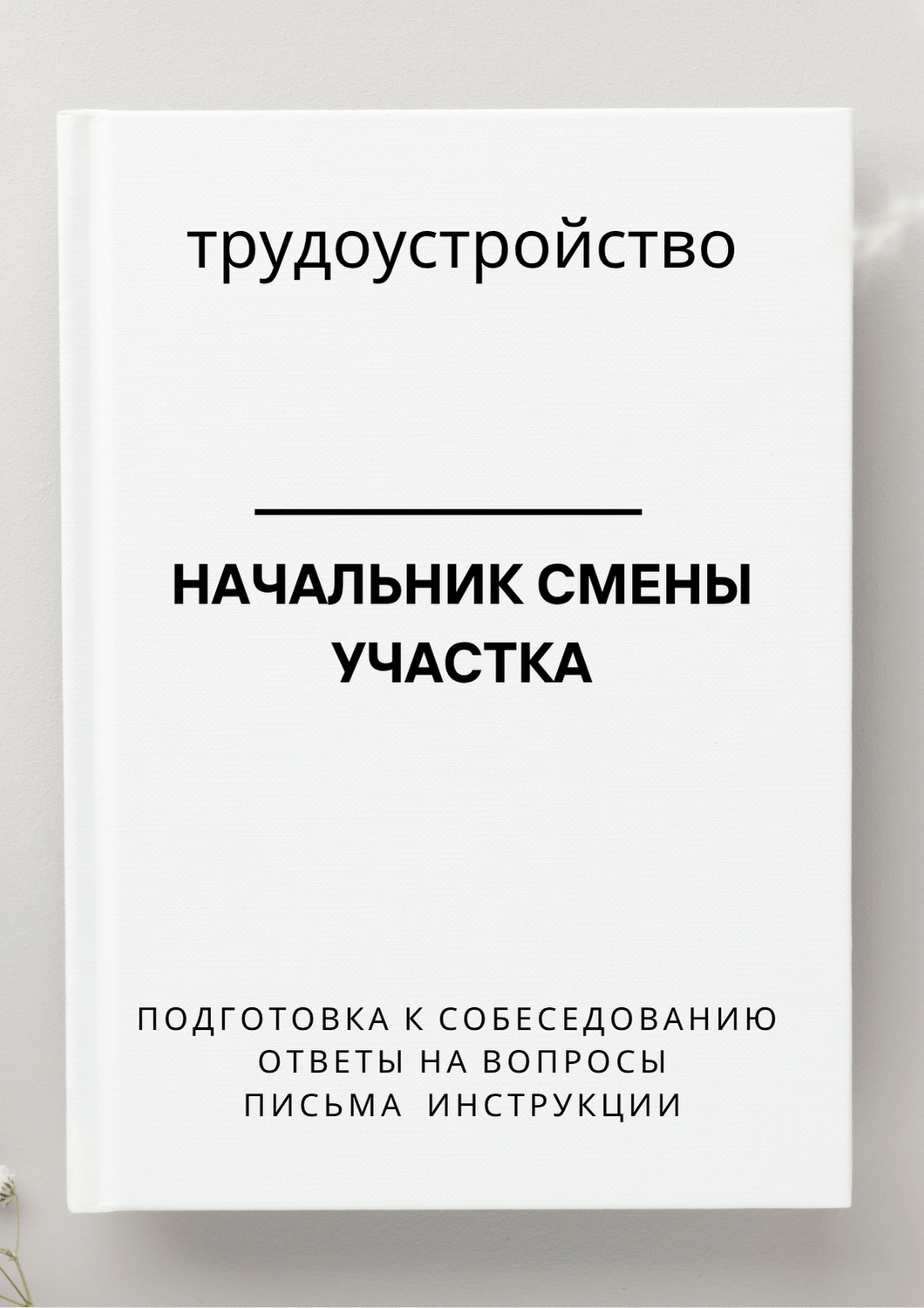 Начальник смены участка
