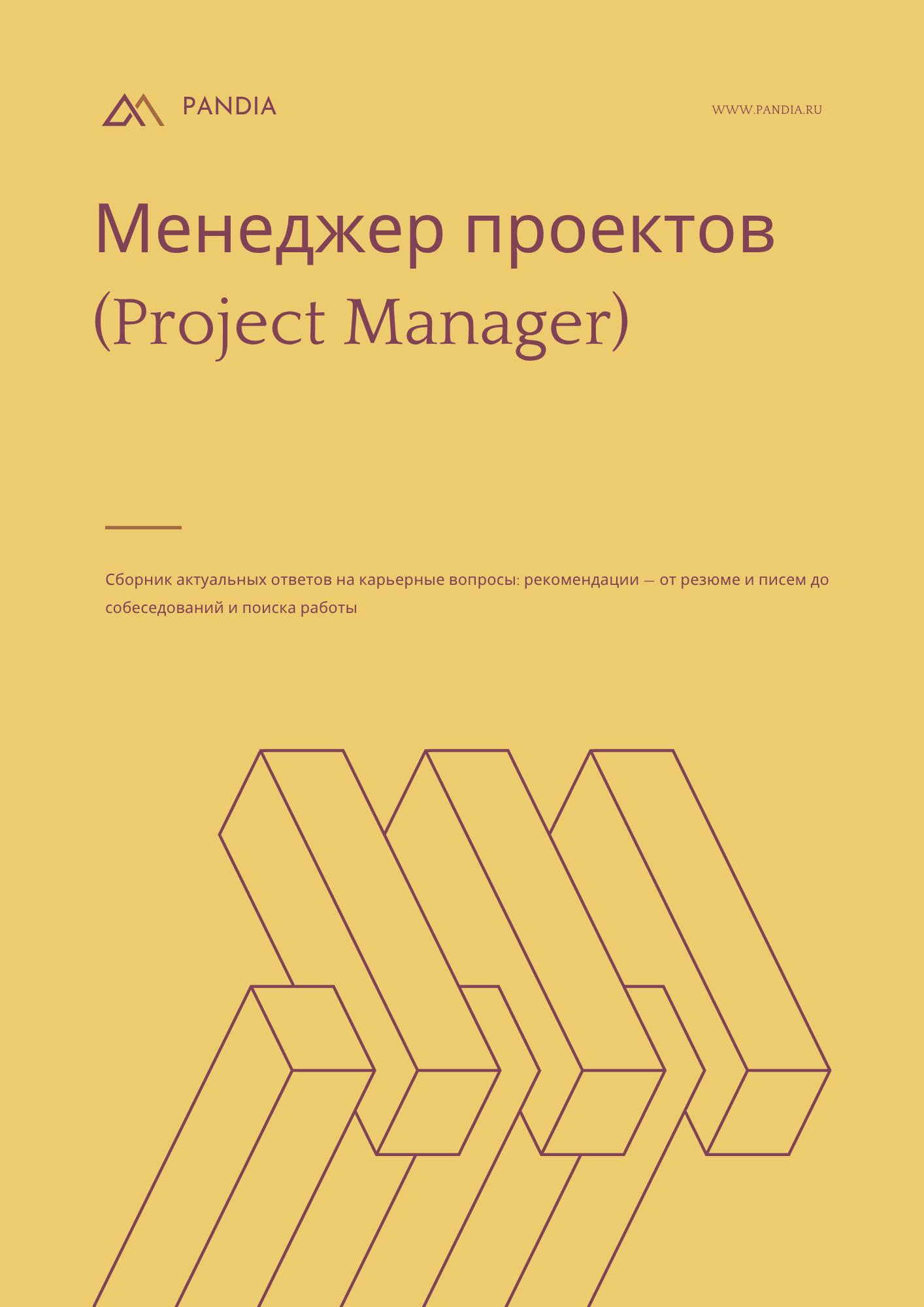 Менеджер проектов (Project Manager)