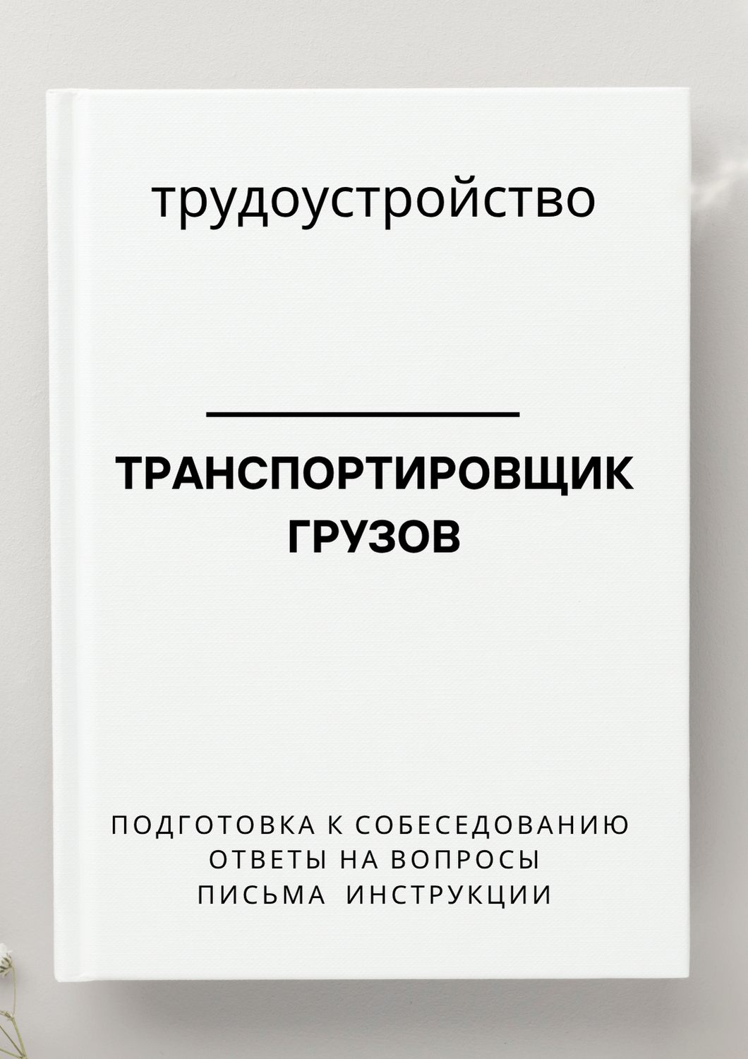 Транспортировщик грузов