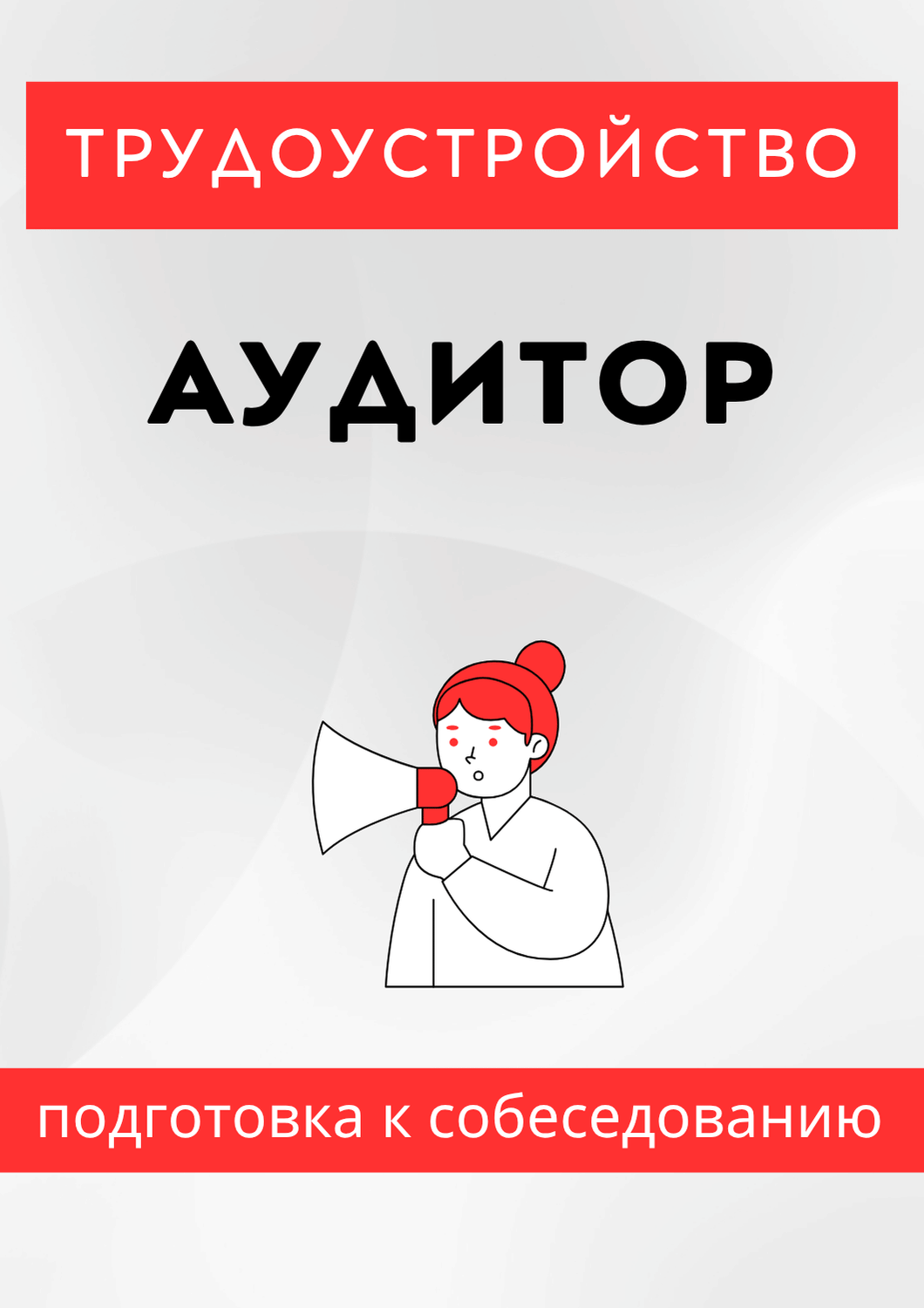 Аудитор