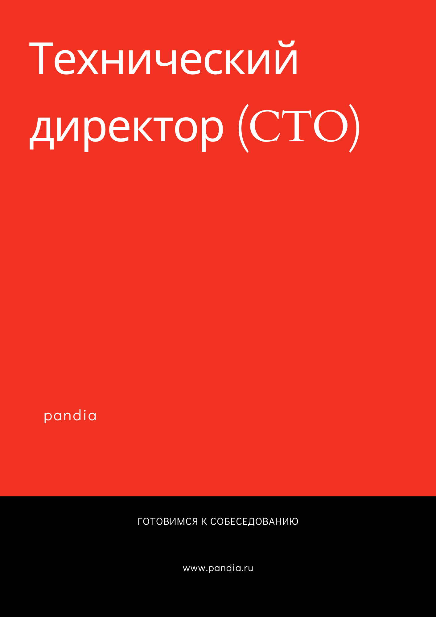 Технический директор (CTO)