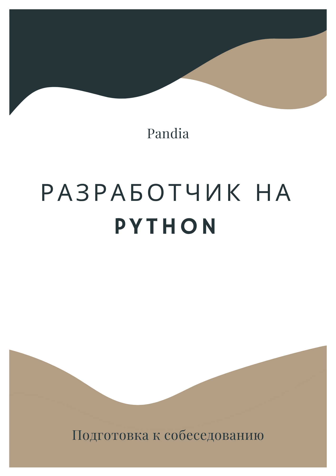Разработчик на Python