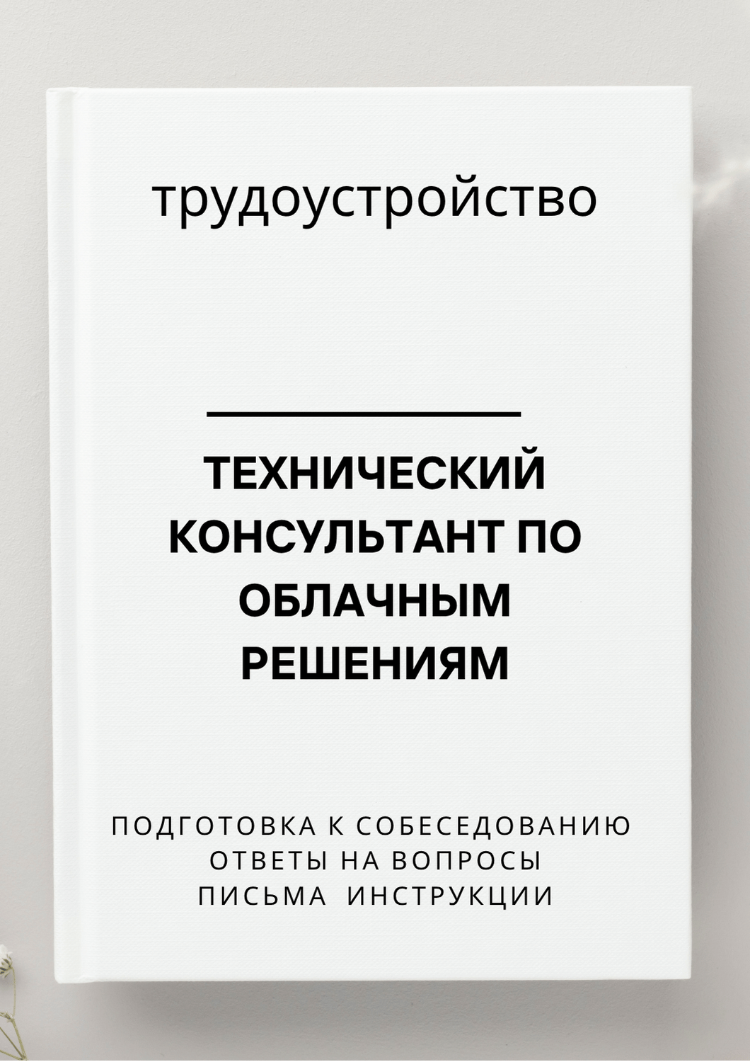Технический консультант по облачным решениям